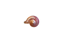 Load image into Gallery viewer, Silver Shell Ring
