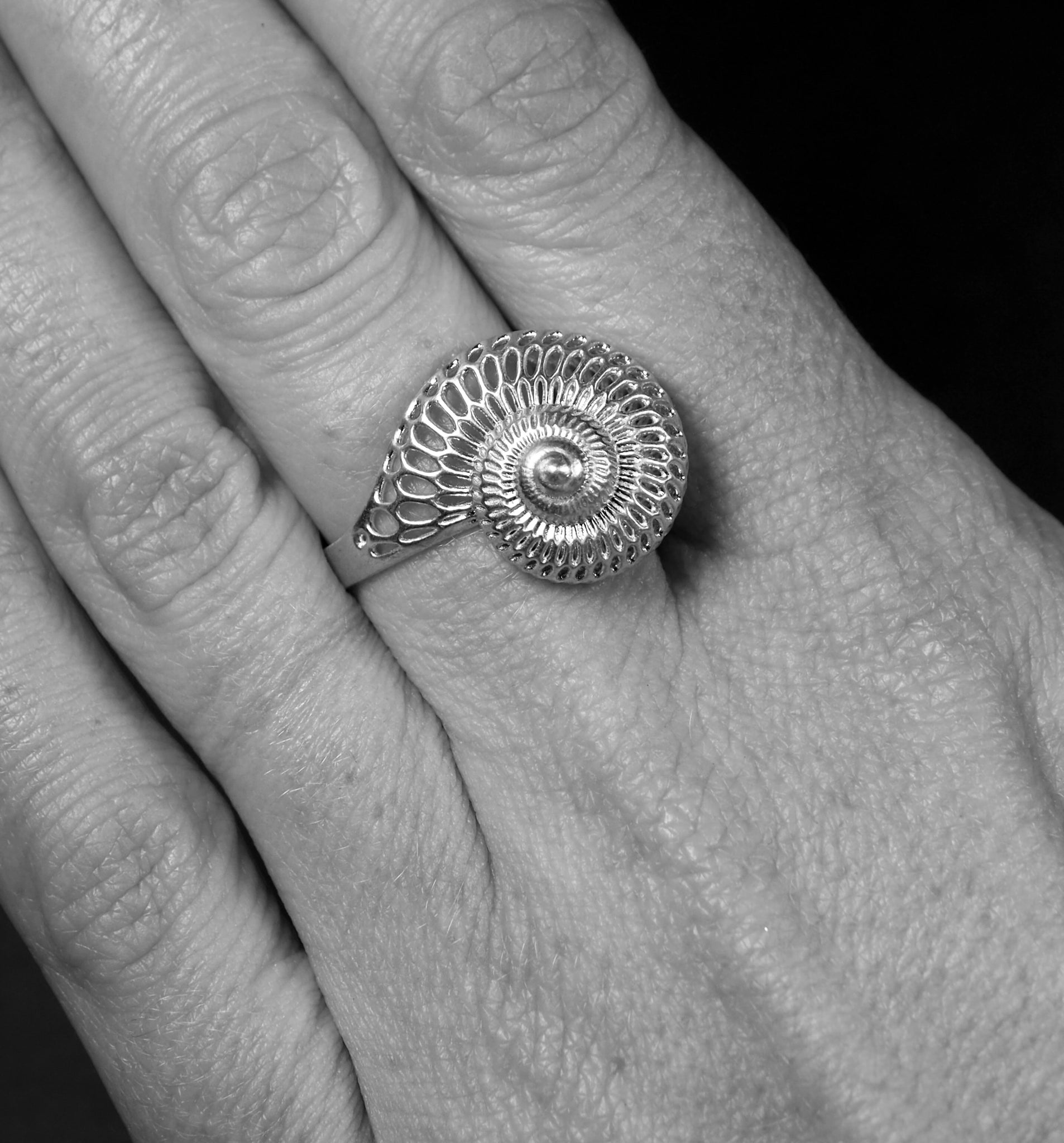 Silver Shell Ring Silver Shell Ring Small – Lynne MacLachlan Jewellery